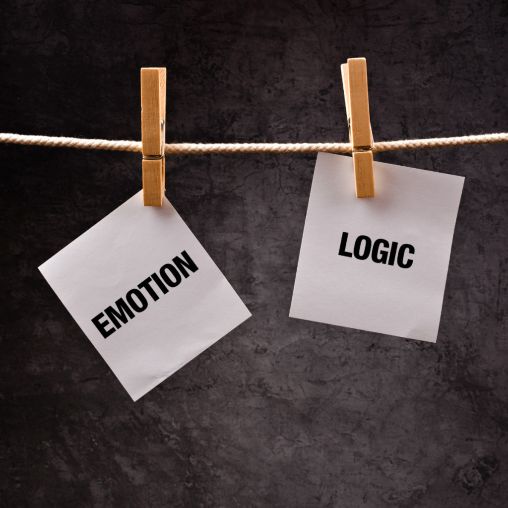 Domestic and Emotional Abuse Counseling and Education